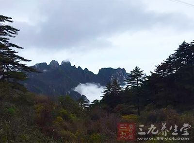 黄山旅游攻略 带你去看雾凇云海