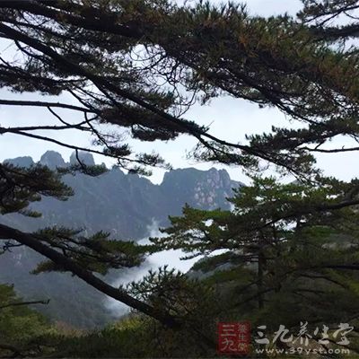 如果您只在黃山住一個(gè)晚上，建議住到北海或西海景區(qū)