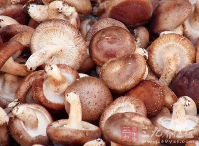 炒香菇的做法大全 美味香菇的简单做法