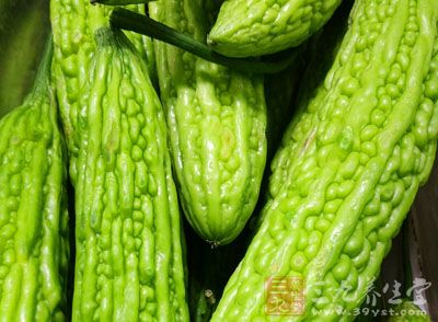 苦瓜有清热祛心火，解毒，明目，补气益精的作用