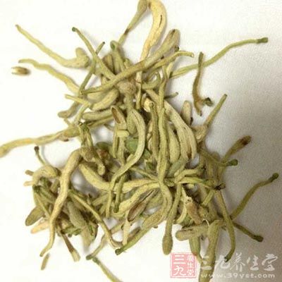 金银花用来治鼻窦炎