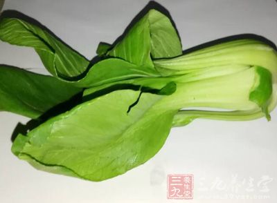 青菜的营养价值 青菜有降低血脂的功效-三九养