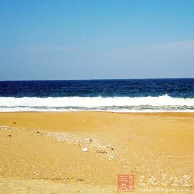 海南以阳光、海水、沙滩、椰树吸引着数以万计的游客慕名前来