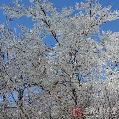 外地游客不仅钟爱于吉林市的雾凇、雪景