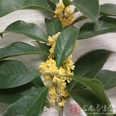 桂花、茉莉花、蜂蜜各10克