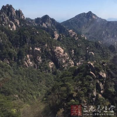 应选择背阴的地方扎营，如大树下面或山的北面