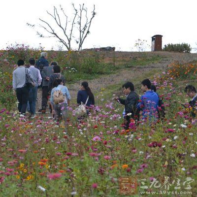 你认为旅行帶给了你哪些方面的改变呢