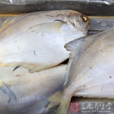 魚肉中含有豐富的維生素D和蛋白質(zhì)