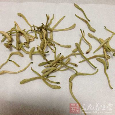 金银花用来治青春痘