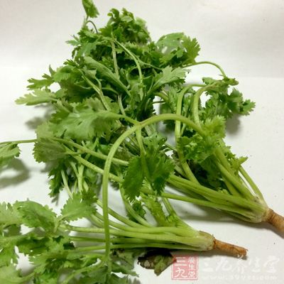 香菜根中含有较多维生素，尤其是胡萝卜素