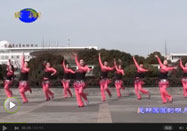 茉莉广场舞 优美广场舞天竺少女