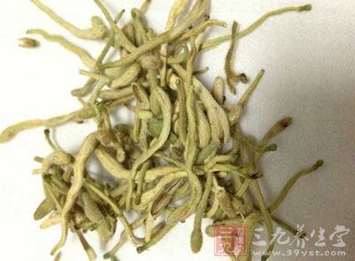 银菊芍药汤，金银花12克