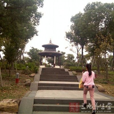 爬山是一项极佳的有氧运动 爬山是一项极佳的有氧运动