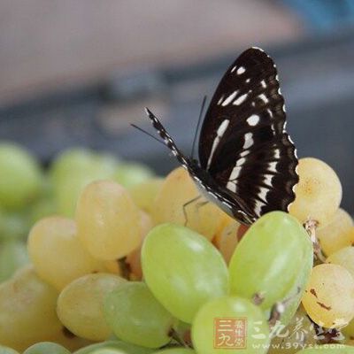 6種水果預防乳腺癌