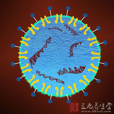 甲型流感H3N2肆虐香港