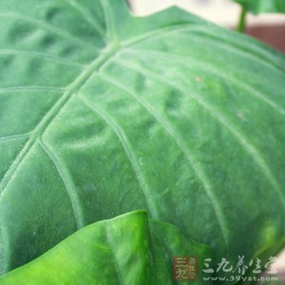 有清除空气灰尘的功效