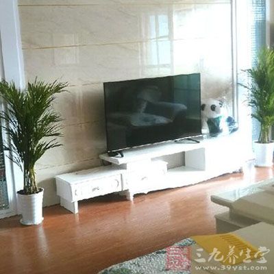 它绿色的棕榈叶对二甲苯和甲醛有十分有效的净化作用