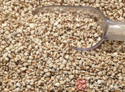 薏米又称薏苡仁营养价值很高 薏米又称薏苡仁营养价值很高
