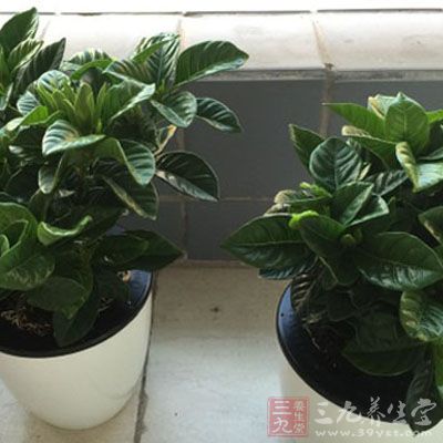 给吸烟家庭带来新鲜的空气 给吸烟家庭带来新鲜的空气