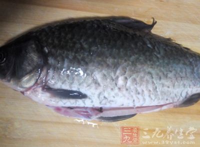 鯽魚藥用價值極高，其性味甘、平、溫，入胃、腎