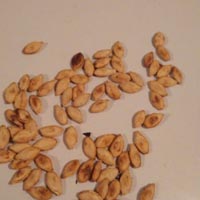 南瓜子的功效与作用 南瓜子能够消除致癌物质