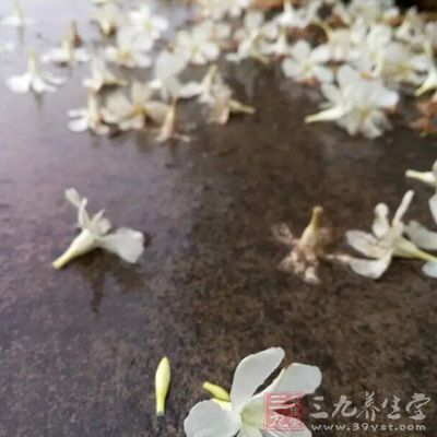 所謂“無(wú)根水”就是雨水