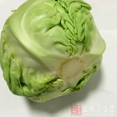 圓白菜亦是開十字花的蔬菜，維生素C含量很豐富