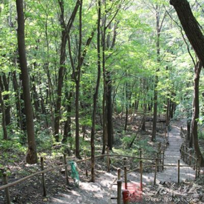 一定要迅速下山，尽量避免单独下山