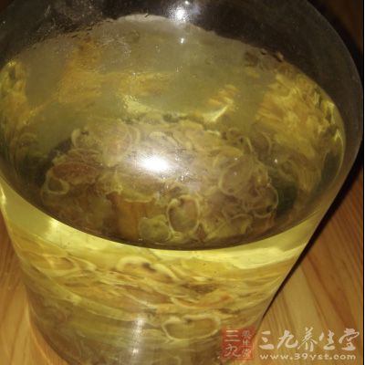 鹿茸——补阳虚