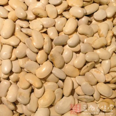 补充人体蛋白质