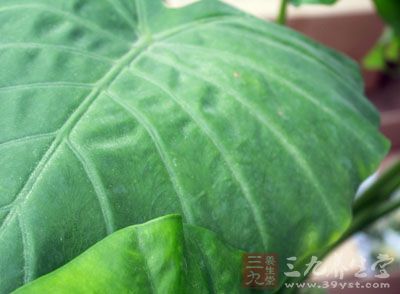 这些东西可能会危害你的健康