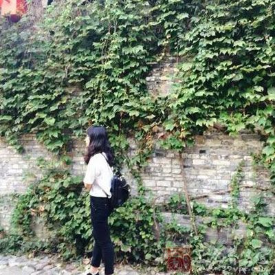 抗衰老食品四:冬瓜 抗衰老食品四:冬瓜