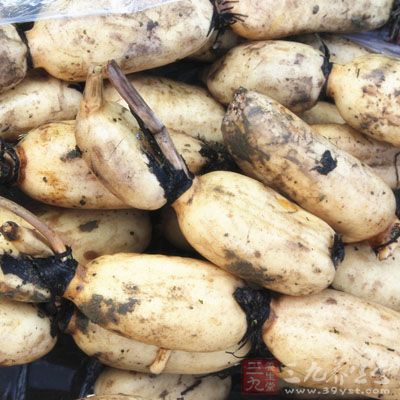 莲藕味甘，性平，有消炎化淤、清热解燥、止咳化痰之功效