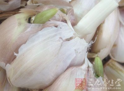 大蒜具有强烈的杀菌力，因此能消灭侵入体内的病菌