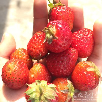 草莓、菠菜、花生和巧克力等都富含草酸盐