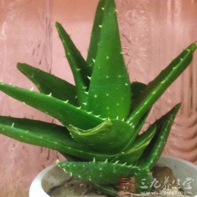 自然的绿色还对晕厥、疲劳、恶心与消极情绪有一定的作用