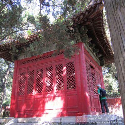 黑色高贵并隐藏缺陷