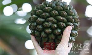 忌空腹吃菠萝 忌空腹吃菠萝