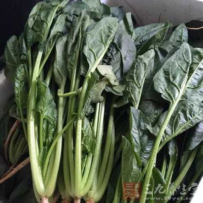 绿叶菜可作为除奶以外的其他食物钙的来源 绿叶菜可作为除奶以外的其他食物钙的来源