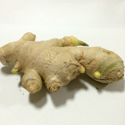 研成细末后用生姜汁调成糊状敷于脐孔 研成细末后用生姜汁调成糊状敷于脐孔