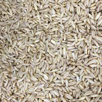 糙米的营养价值 常吃糙米对身体非常好