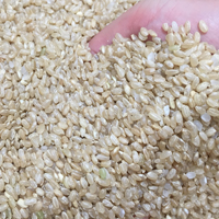糙米的功效与作用 吃糙米能抗癌防癌