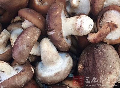 其原因是采摘蘑菇的人不会识别毒蕈 其原因是采摘蘑菇的人不会识别毒蕈