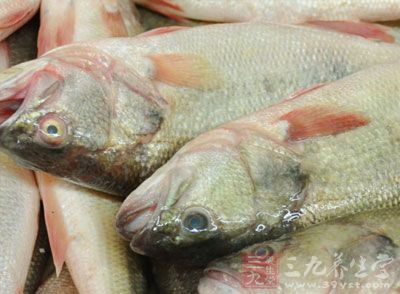 鱼中蛋白质含量为猪肉的2倍,且属于优质蛋白 鱼中蛋白质含量为猪肉的2倍,且属于优质蛋白