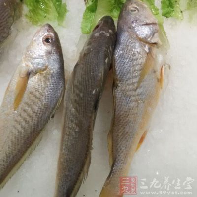 魚類產(chǎn)品在放進(jìn)冰箱冷凍后，肉質(zhì)常會變得干硬