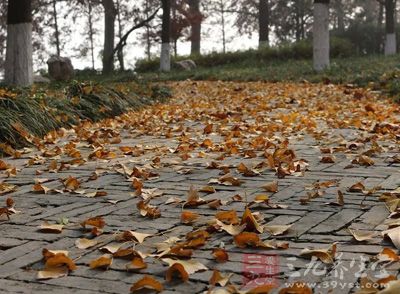 到了秋季之后,气温凉爽空气宜人 到了秋季之后,气温凉爽空气宜人