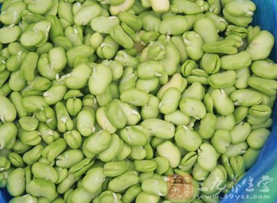 蚕豆可引起急性溶血性贫血