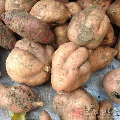 木薯浸泡后煮熟才能食用