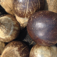 椰子冻 椰子的主要成分有哪些