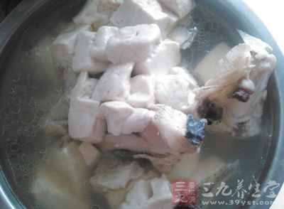 鱼头豆腐汤能健脑